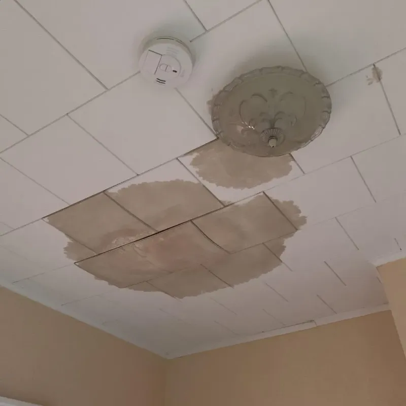 Ceiling Water Damage Repair in La Salle County, TX